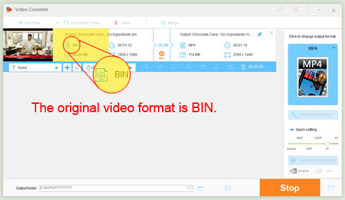 Frugal oficial sentido Best BIN File Converter to Convert BIN to MP4, AVI for Easy Playback on Any  Device