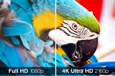 How to Download  Videos in 4K for Free