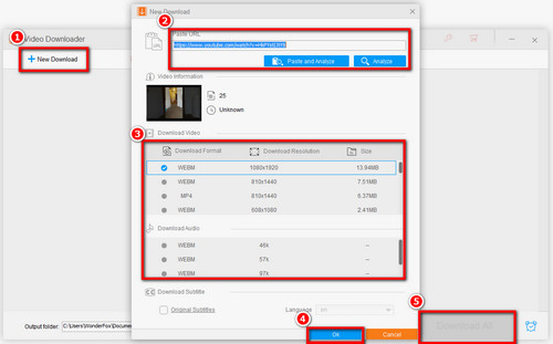 Bigfm playlist download manager