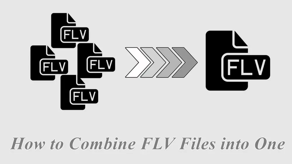 FLV Joiner How to Join Multiple FLV Files into One?
