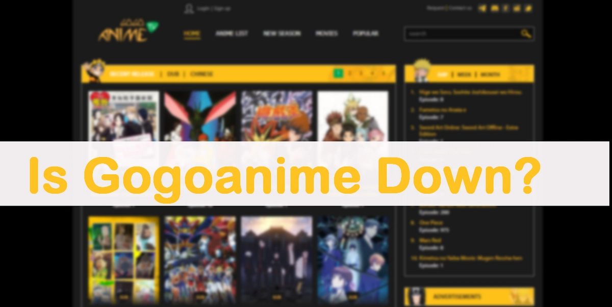 Gogoanime Not Working Here are 13 Good Sites Like Gogoanime