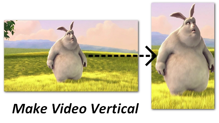 How to convert horizontal video to vertical video?