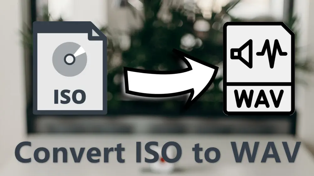 How to Convert DVD ISO to WAV Efficiently?
