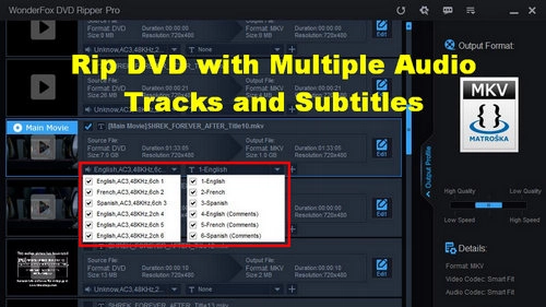 Easiest Way to Rip DVD with Multiple Audio Tracks and Subtitles