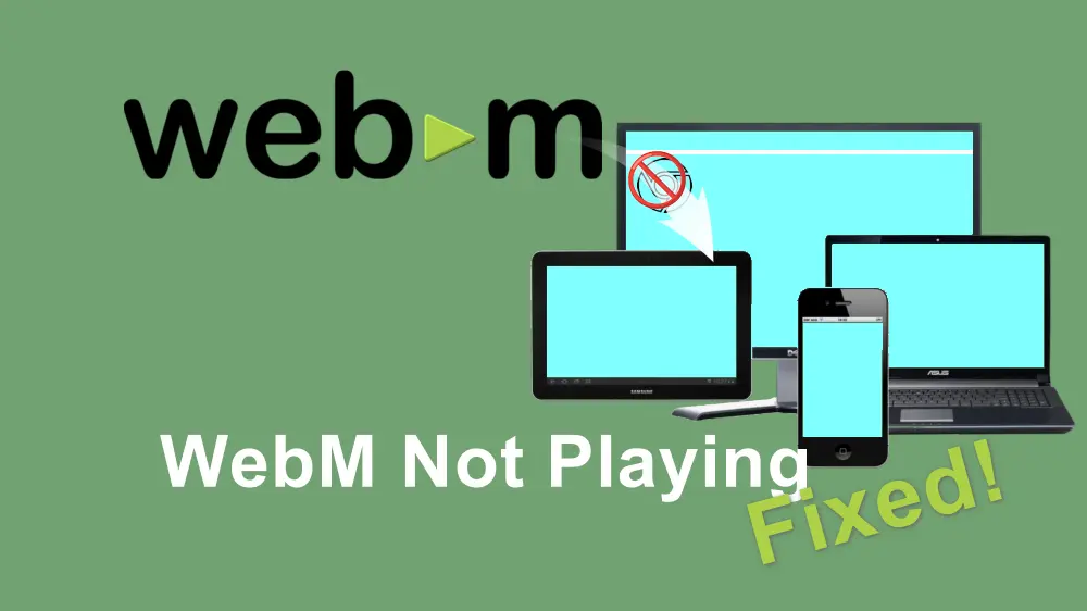All Fixes to M Not Playing on PC, Mobile, Chrome, and More