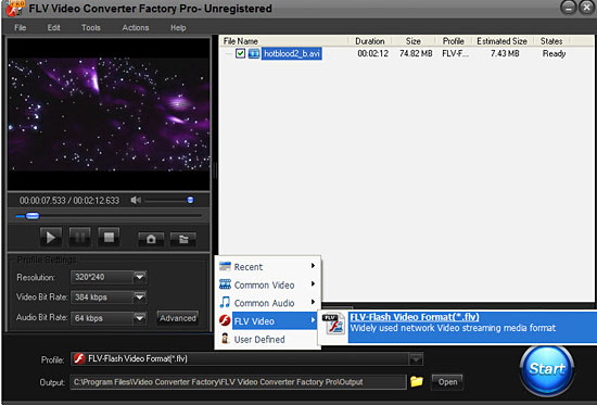 FLV Video Converter