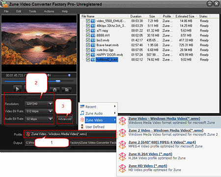 apple video format developed apple video format developed