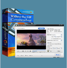 Video to GIF Converter