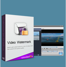 WonderFox Video Watermark